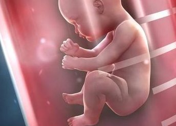 做了结扎手术可以在新星市试管医院做试管婴儿吗？费用是多少