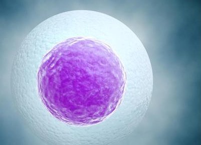 HMG与果纳芬可以同时使用吗？二者有何区别？