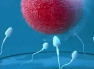 试管婴儿降调的副作用多久能消失？