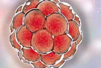 真实数据说话，去杰特宁试管婴儿成功率有多少？