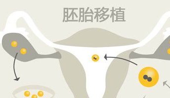 囊胚移植后一周发高烧会否导致胎儿畸形？